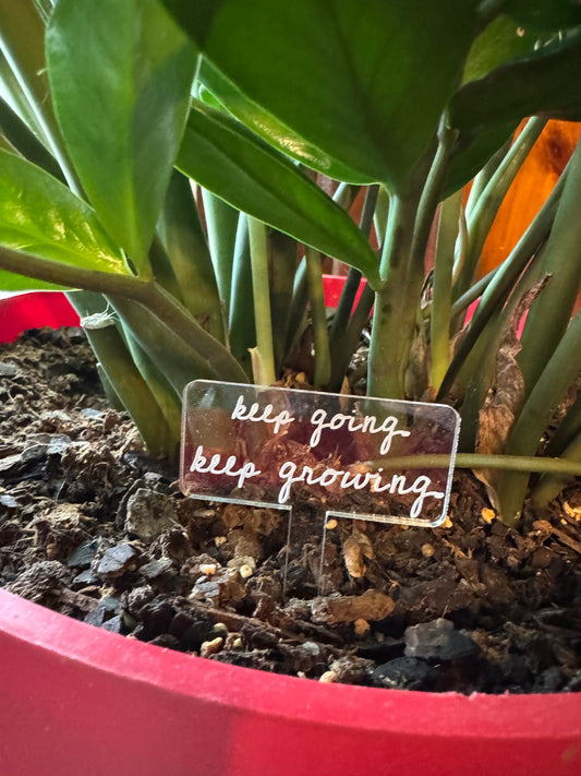 Plant Conversations Picks