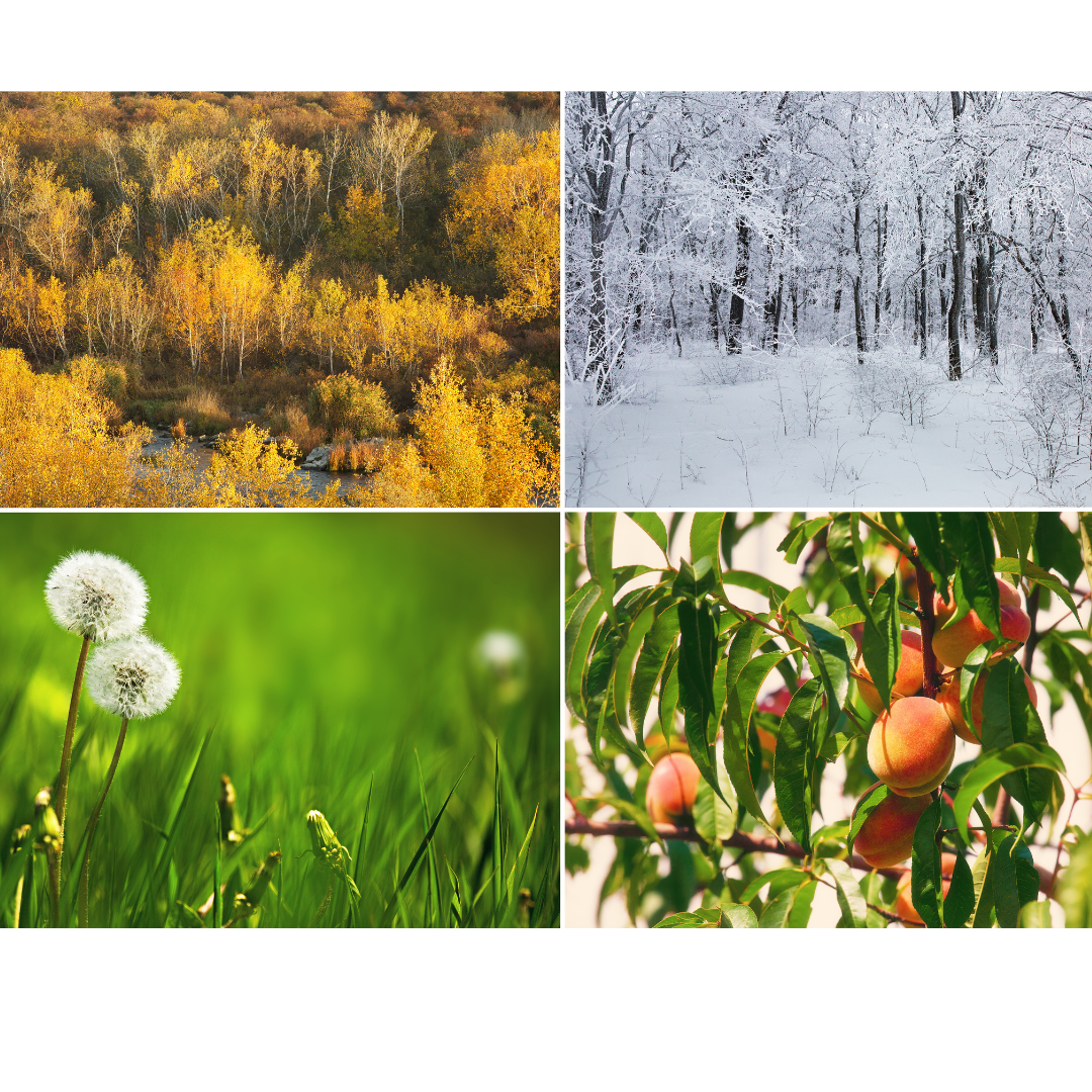 Seasonal