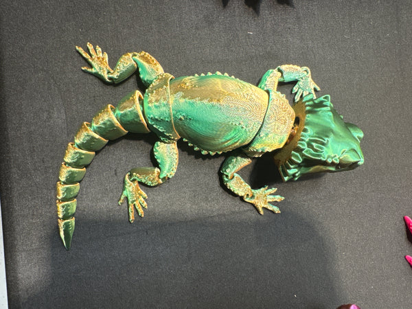 Beardies