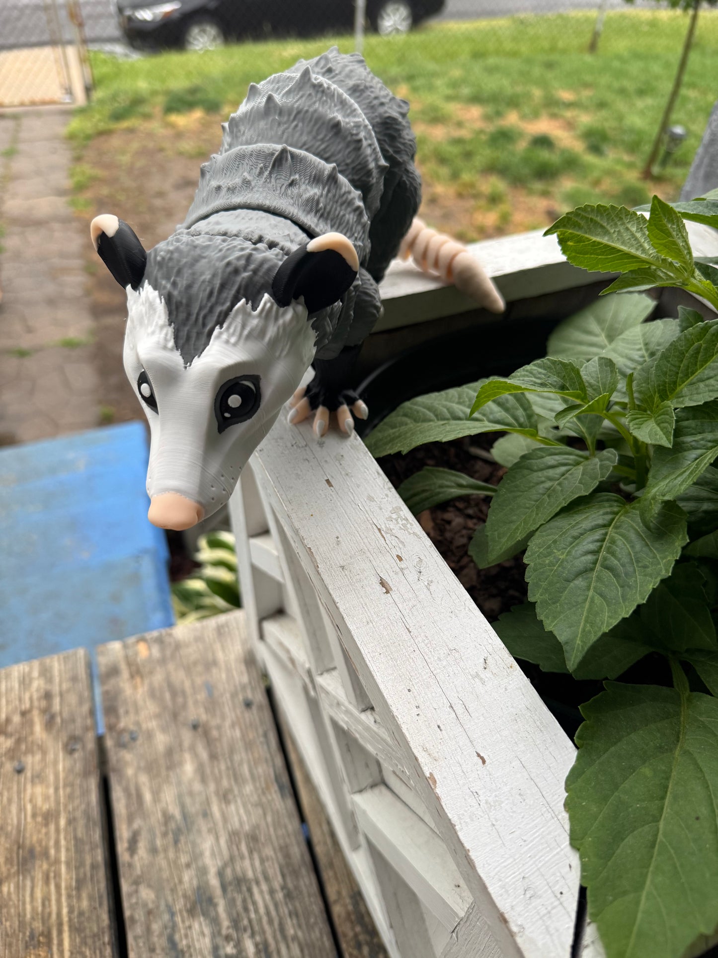 3D articulating opossum