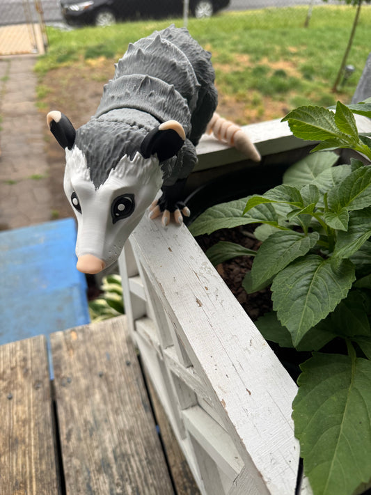 3D articulating opossum