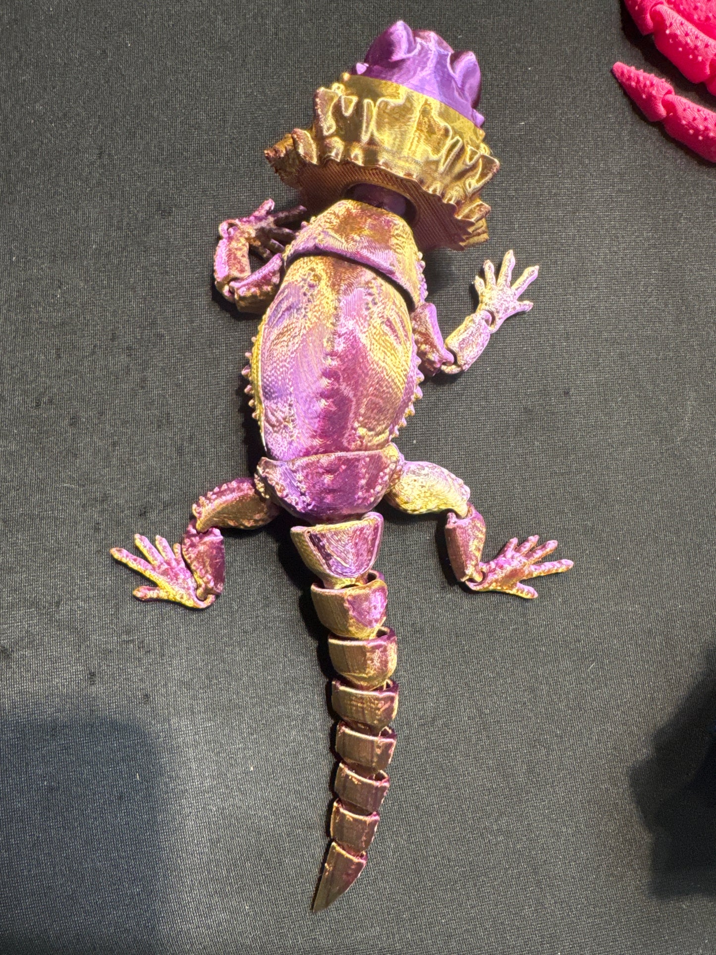 Beardies