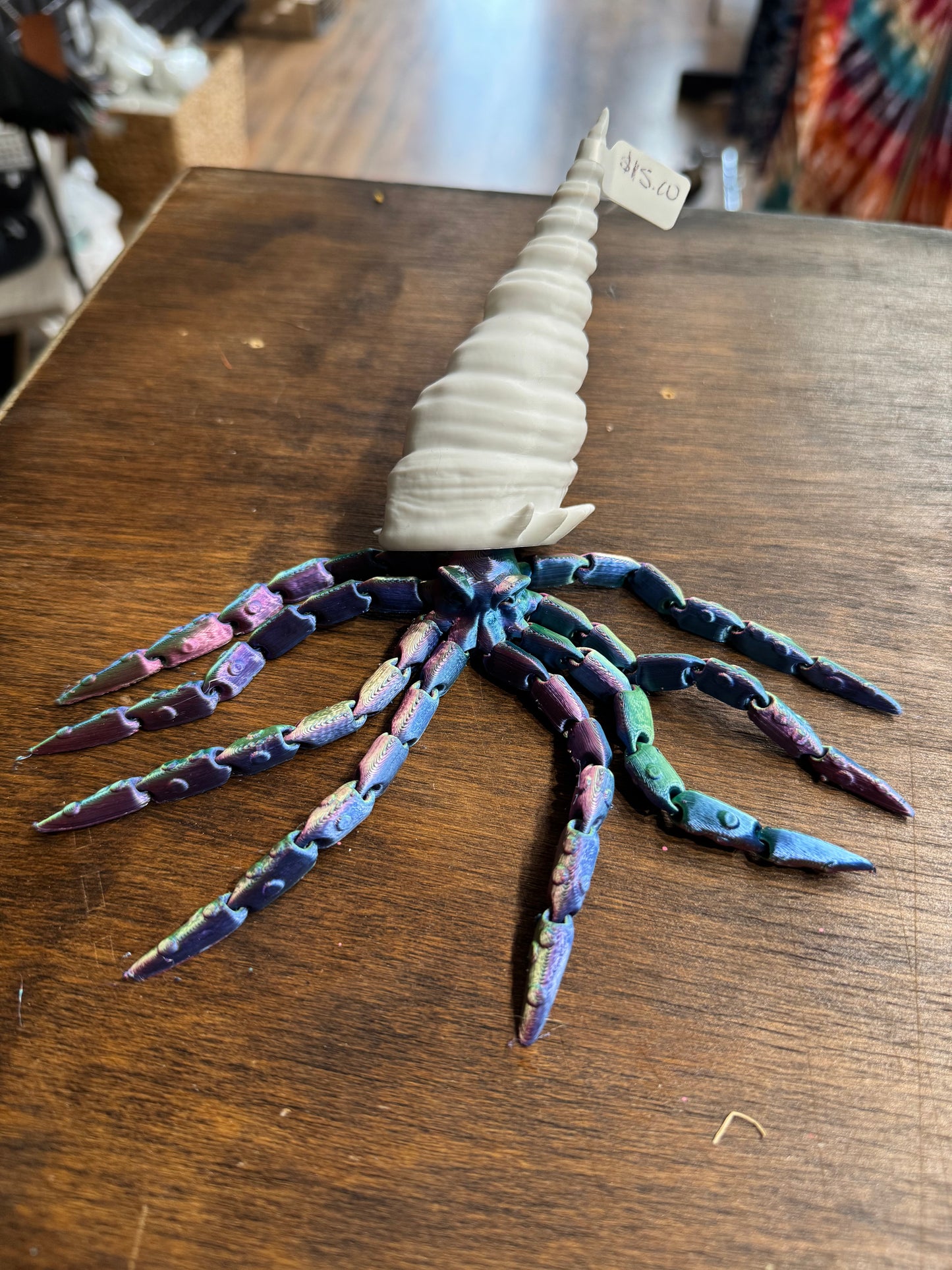 3D Squid w/ shell