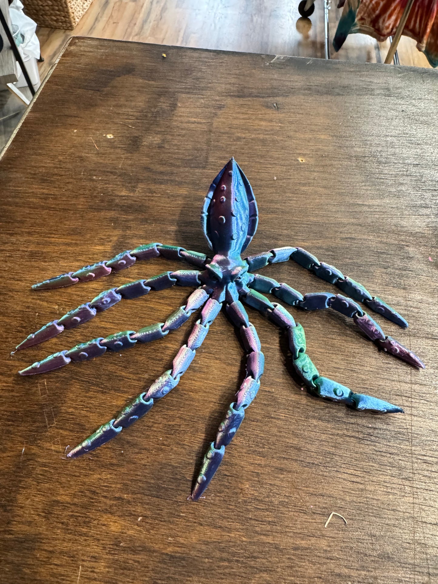 3D Squid w/ shell