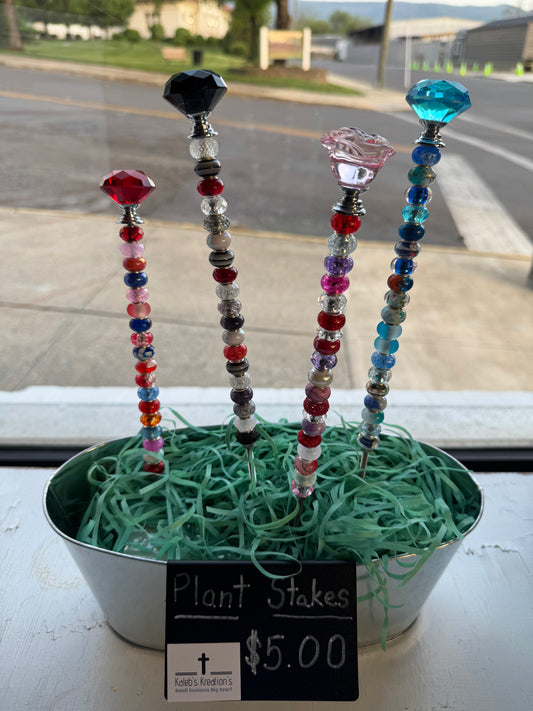 Kaleb's Kreations- Plant Picks