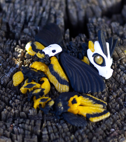 Death moth Dragon